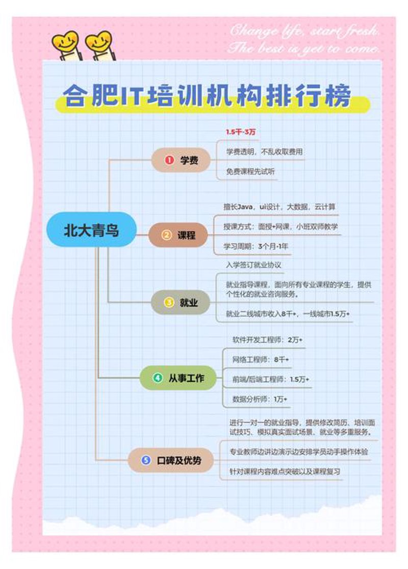 合肥软件开发：推动本土企业数字化转型的新引擎