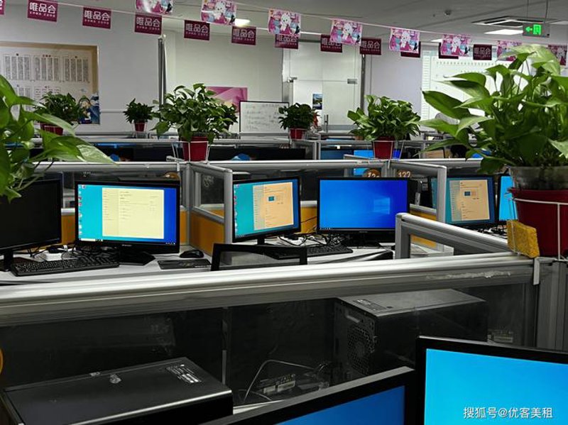 企业网站建设：筑巢与飞翔的平衡